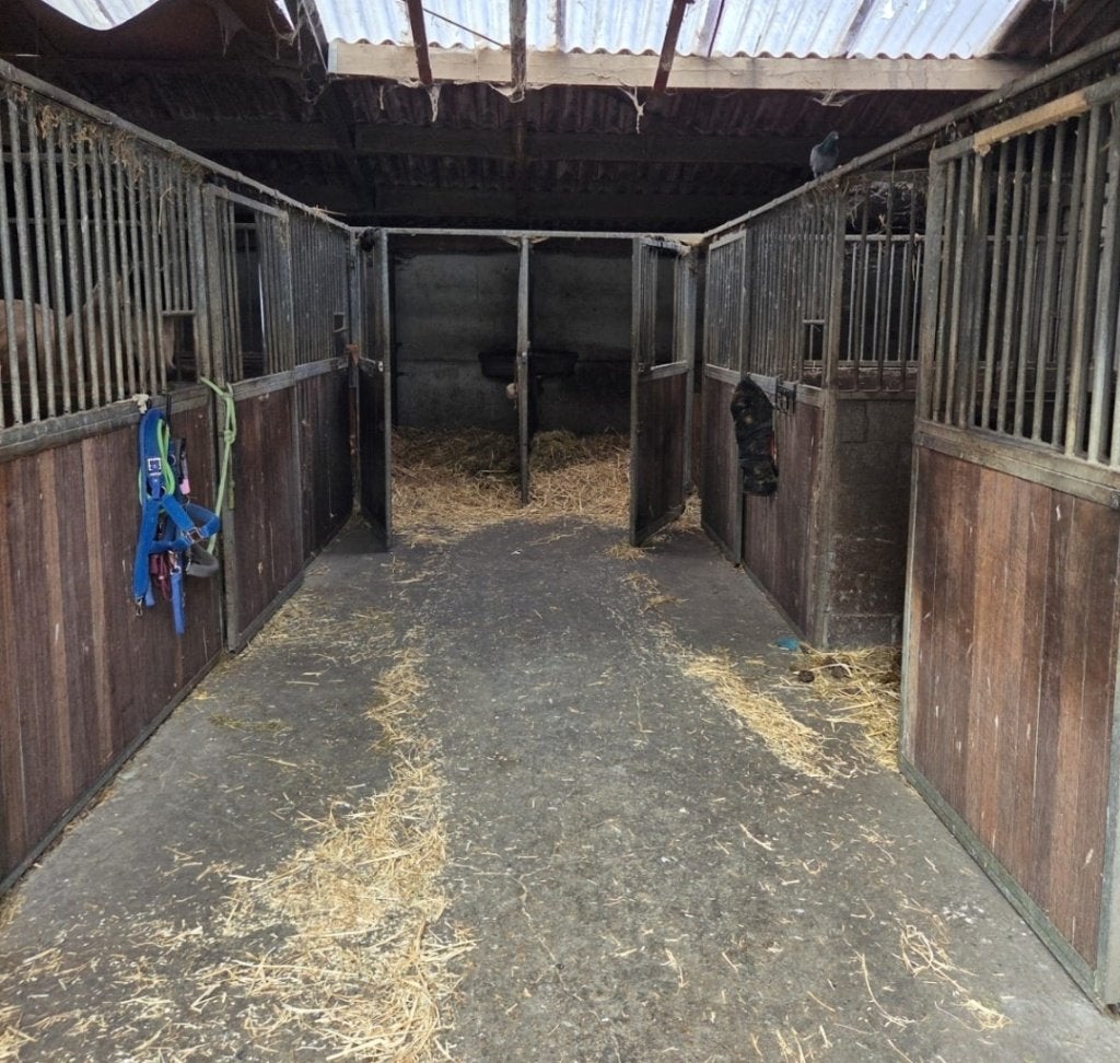 Écuries en bois dur, Animaux & Accessoires, Box & Pâturages, 4 chevaux ou poneys ou plus