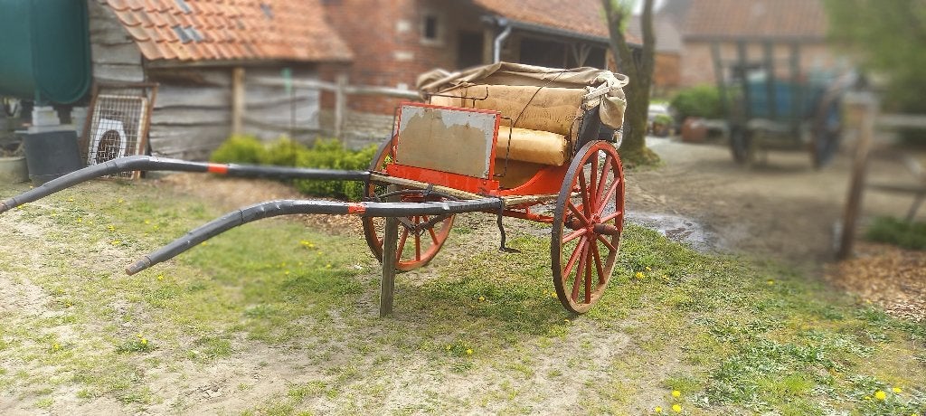 Paardenrijtuig, Dieren en Toebehoren, Gebruikt, Overige typen, Paard of Pony
