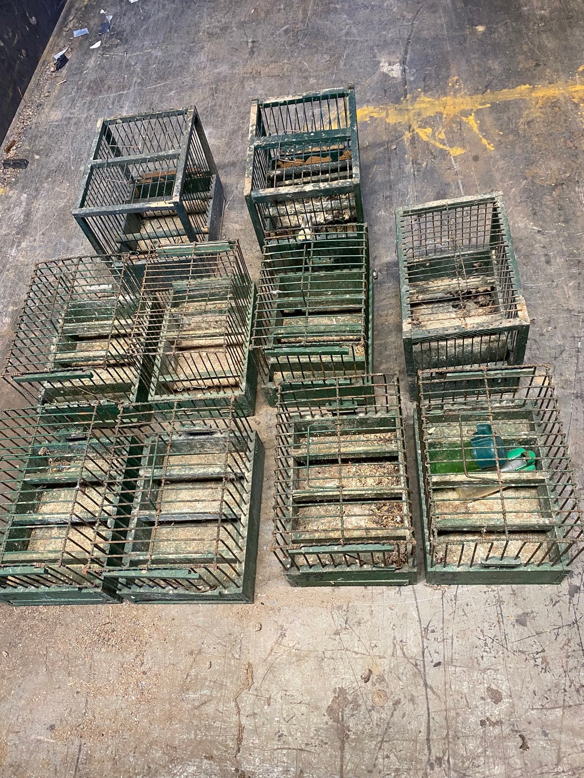 Lot de 10 cages d’oiseaux , Je suis de la région d’Herve, Enlèvement, Comme neuf