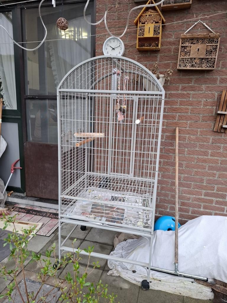 Papegaaienkooi, Dieren en Toebehoren, Vogels | Hokken en Kooien, Ophalen
