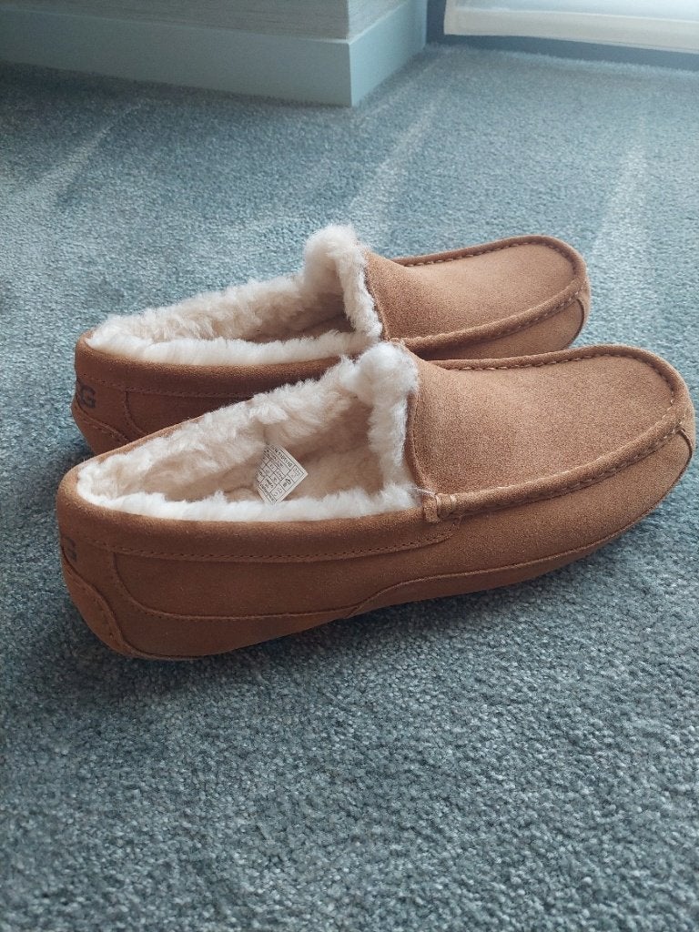 UGG Ascot pantoffels voor heren (45) - NOG NIEUW !!!, Ophalen, UGG, Bruin, Nieuw