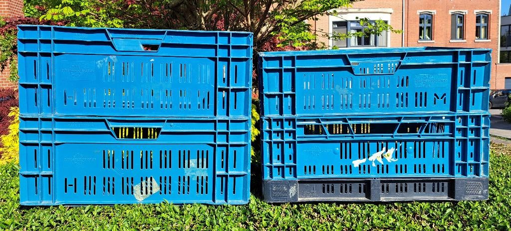 Krat-, groente- en fruitcontainer, Ophalen, Gebruikt, 40 tot 60 cm, 50 tot 75 cm