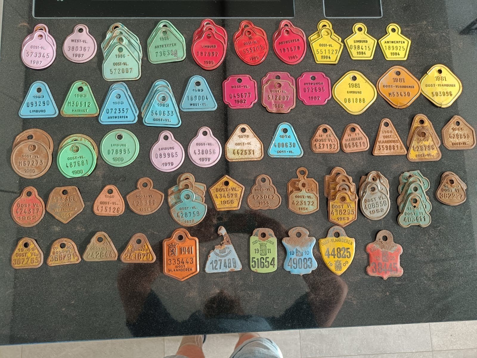 Grote verzameling oude fietsplaten, Hobby & Loisirs créatifs, Jeux de cartes à collectionner | Autre, Envoi