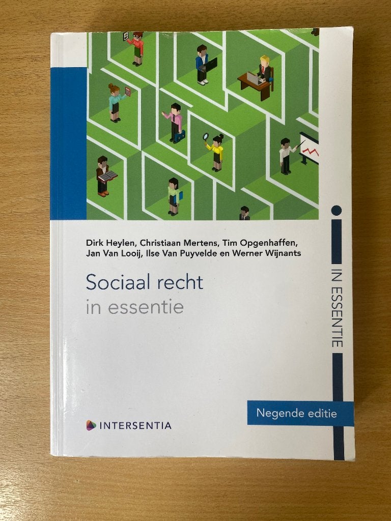 Sociaal recht in essentie, Ophalen of Verzenden, Nieuw, Hoger Onderwijs, Dirk Heylen; Christiaan Mertens