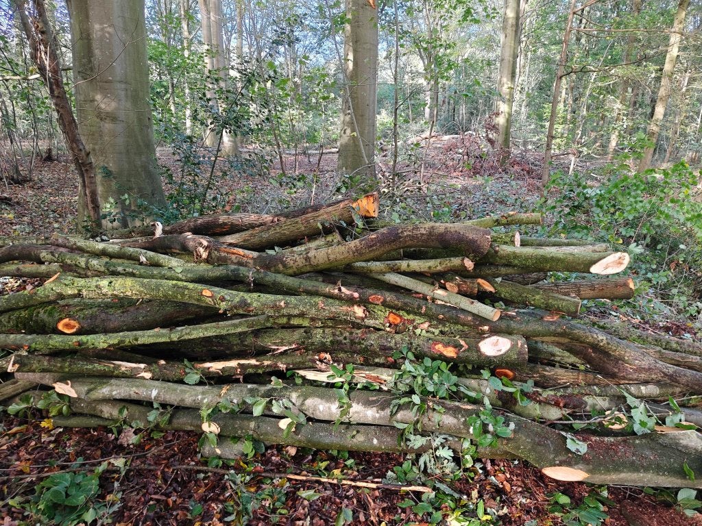 Joli lot de bois de chauffage 3 à 4 étoiles à Oostkamp, Jardin & Terrasse, Enlèvement