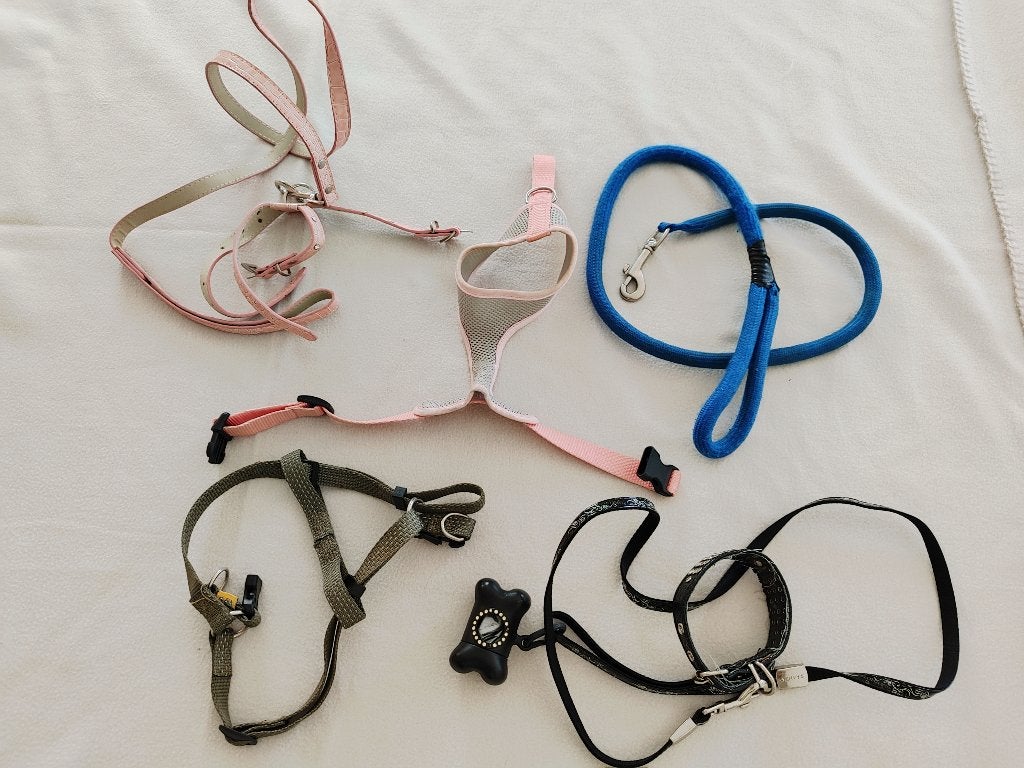 Set riemen, harnassen, halsbanden voor kleine honden., Ophalen of Verzenden, Gebruikt, Hondenriem