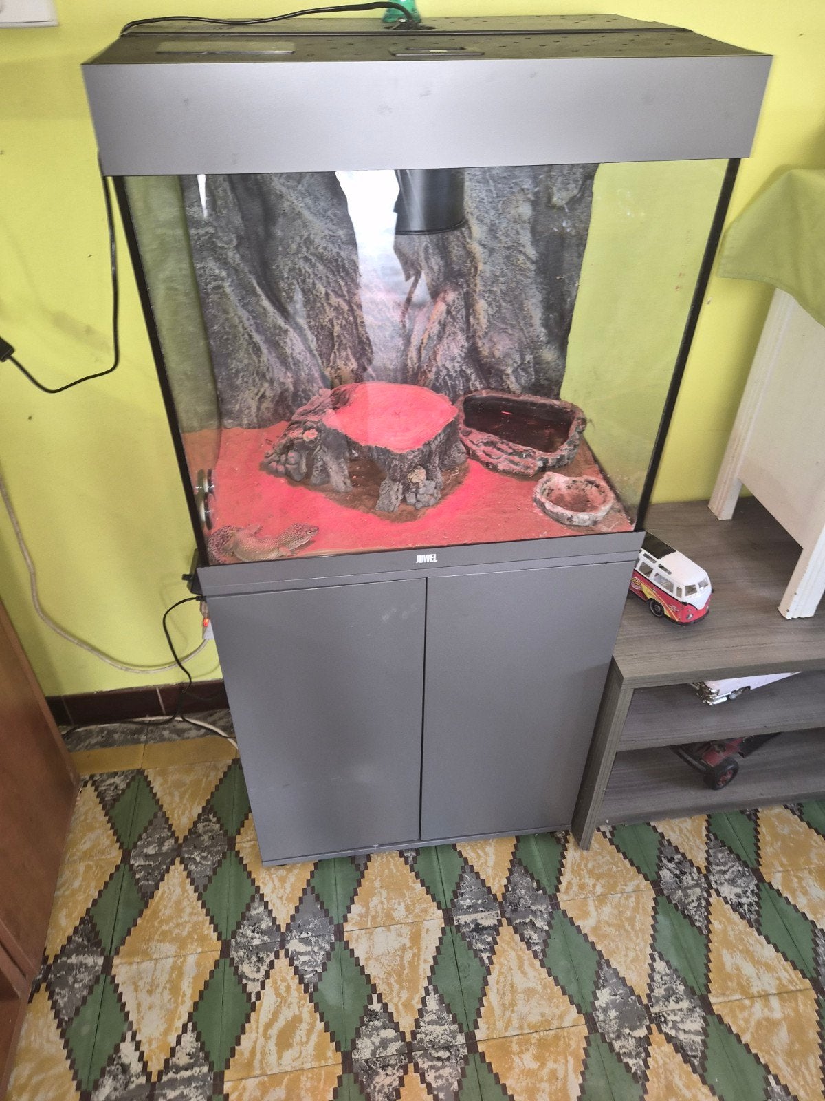 Luipaard gekko, Dieren en Toebehoren, Reptielen en Amfibieën, Overige soorten, Met terrarium, 0 tot 2 jaar