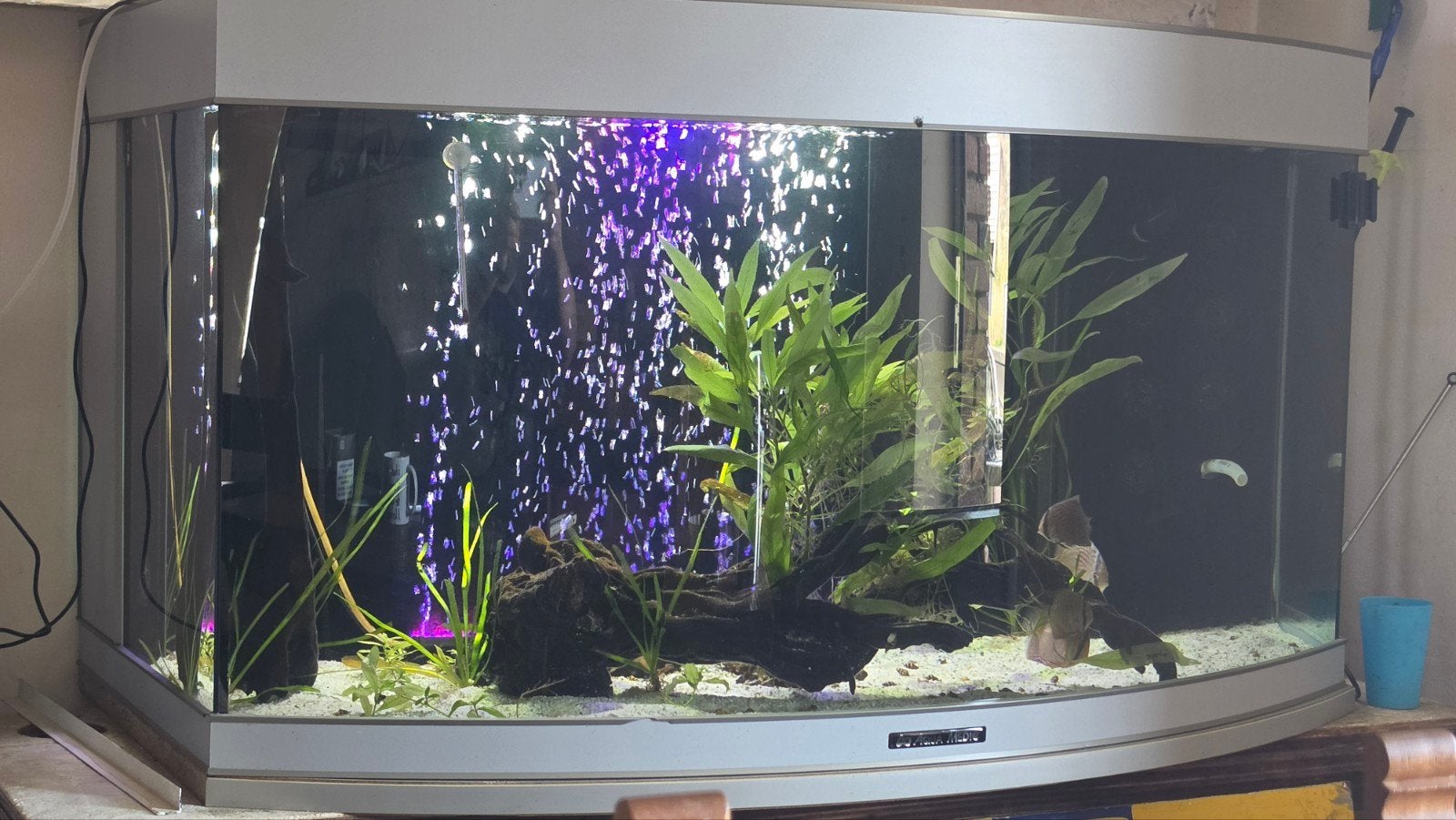 aquarium 480l, Animaux & Accessoires, Aquarium d'eau douce rempli, Enlèvement, Utilisé, Plantes incluses