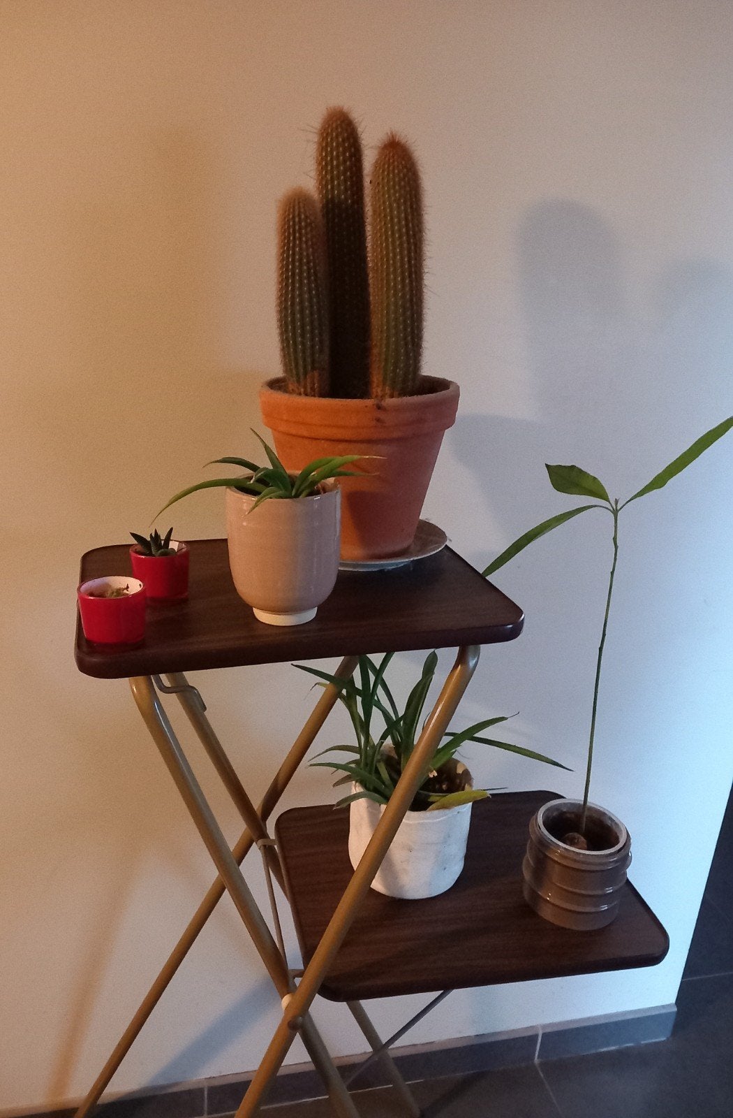 Table de projection/table d'appoint -> 30€, Enlèvement