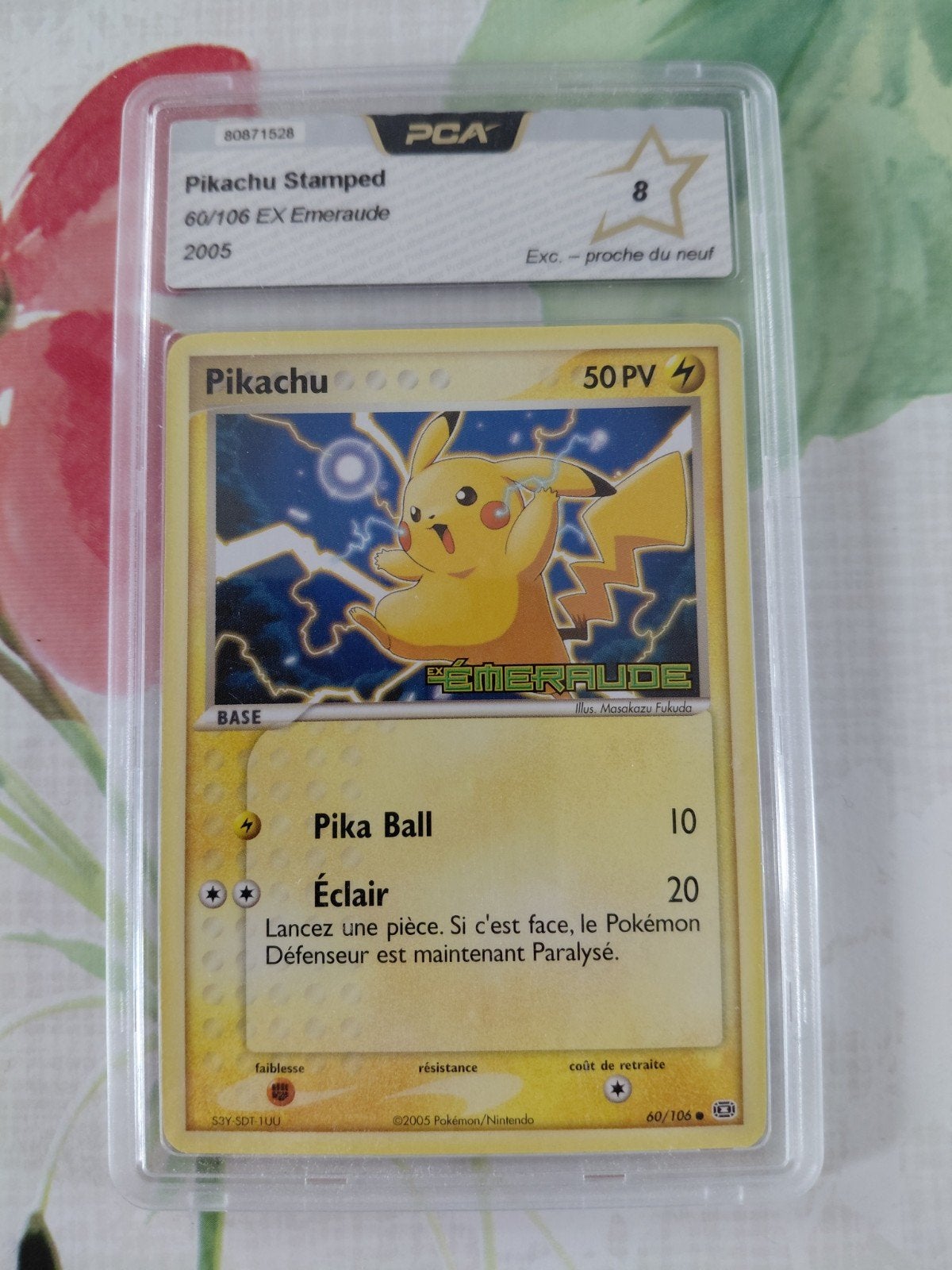 Pokemon, Enlèvement