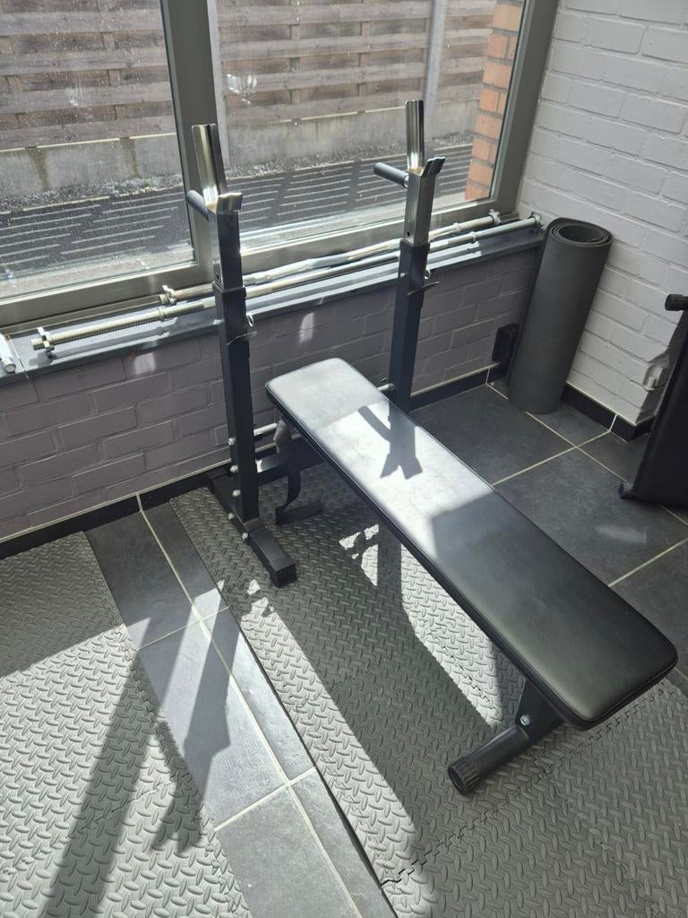 Opklapbare Bench met dipsteunen + barbell & dumbell, Enlèvement, Utilisé, Pectoraux, Barre d'haltères
