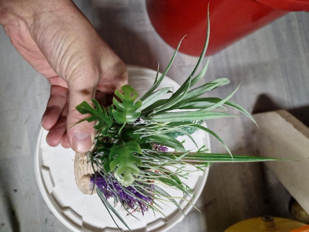 nep plantjes op steen, Ophalen