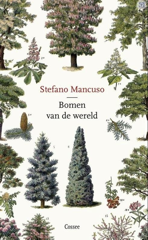 Bomen van de wereld, Stefano Mancuso, Livres, Nature, Comme neuf, Enlèvement ou Envoi