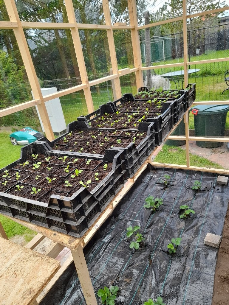 Tuinkas als nieuw wegens gezondheidsredenen te koop, Tuin en Terras, Kassen, Ophalen, Overige materialen, Muurkas, Overige materialen
