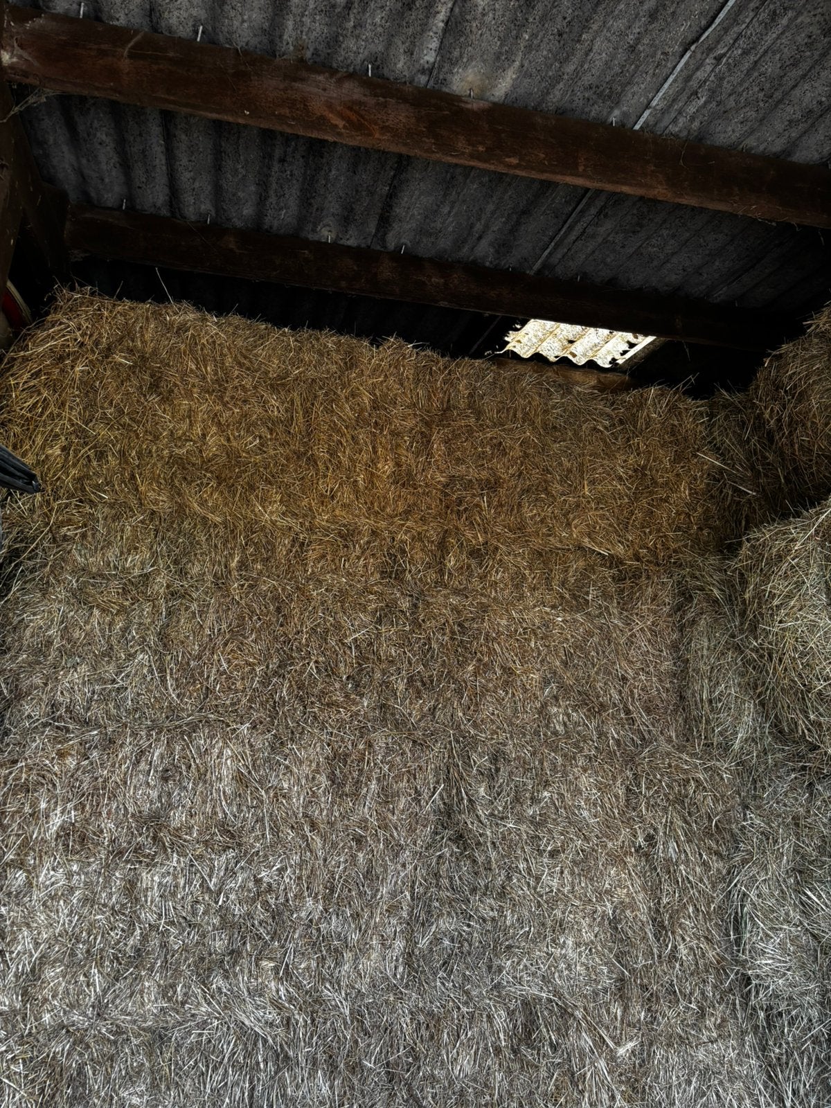 hooi tekoop, Dieren en Toebehoren