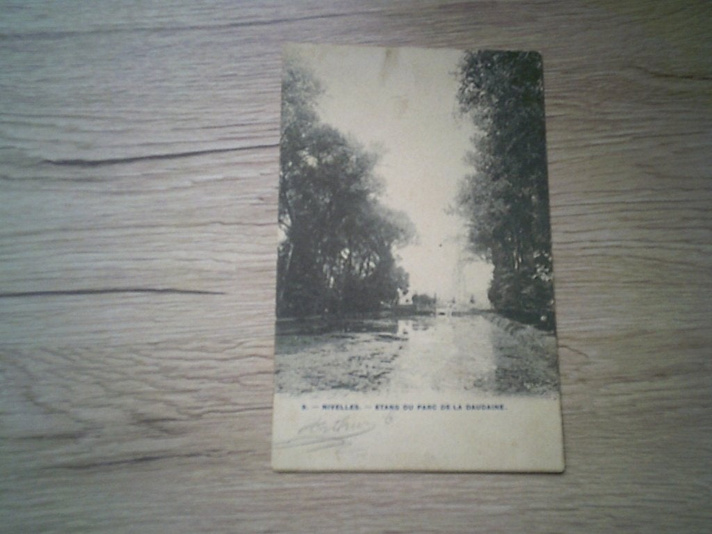 NIJVEL - NIVELLES: N 9 - Etang du Parc de la Dodaine, Ophalen of Verzenden, Voor 1920, Gelopen, Waals-Brabant
