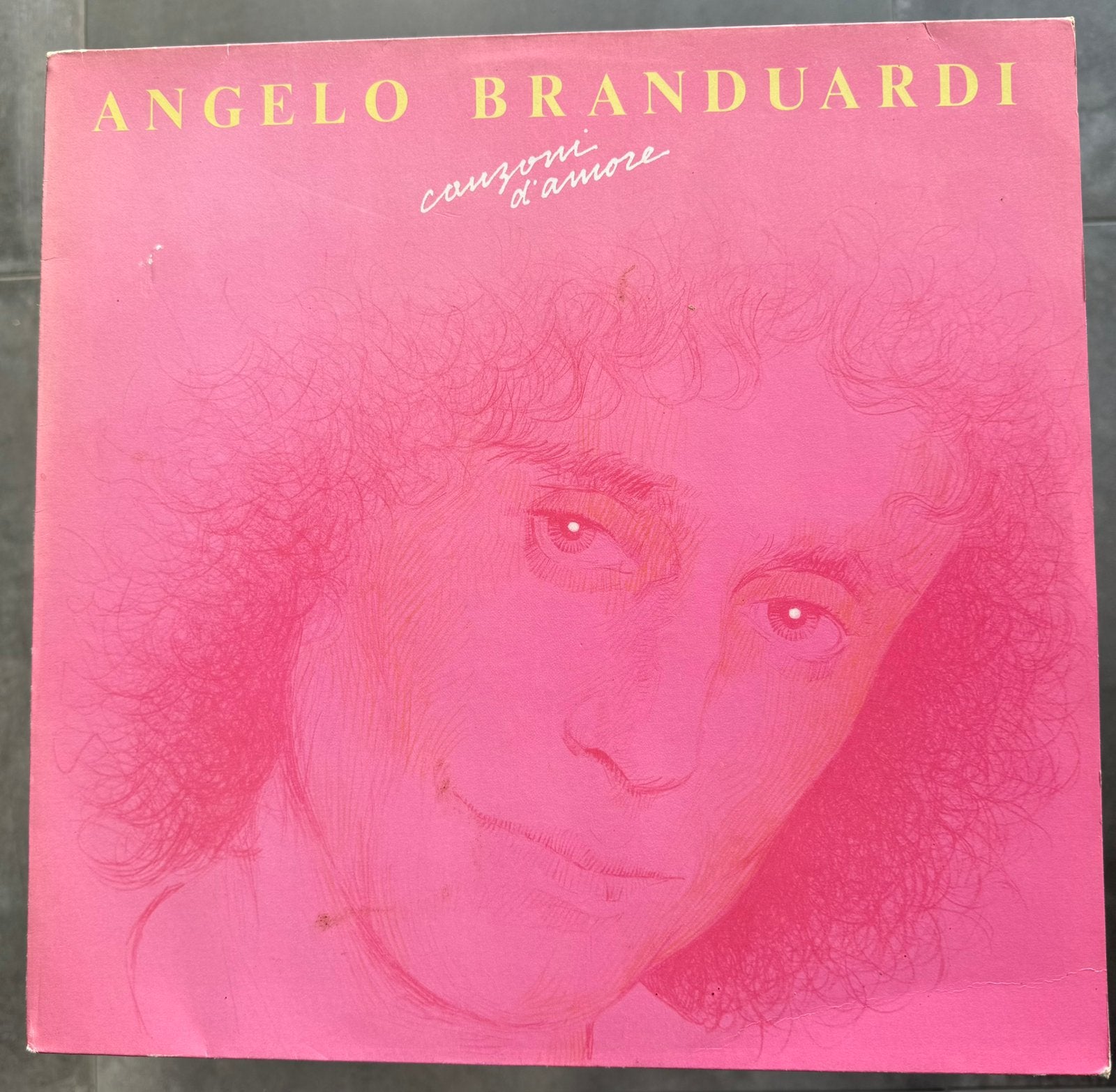LP Angelo Branduardi - Canzoni d’amore, CD & DVD, Vinyles | Rock, Enlèvement ou Envoi, Utilisé, 12 pouces, Chanteur-compositeur