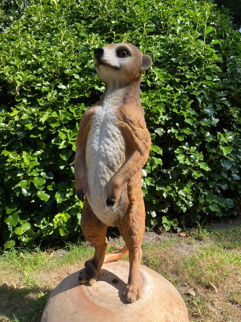 Statue singe suricate, jardin, étang, zoo 62cm, Enlèvement, Neuf, Synthétique, Animal