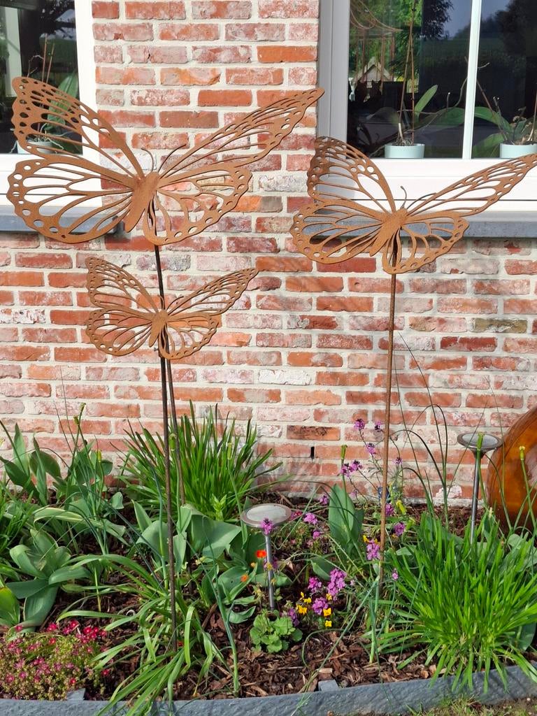 Papillons en acier corten de 3 mm ! Un véritable accroche-re, Enlèvement