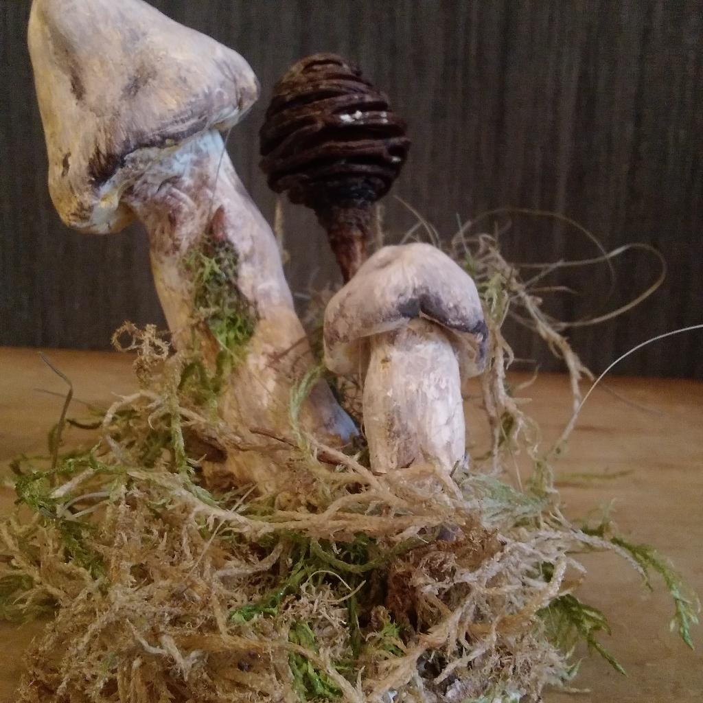 Prachtige botanische paddenstoelen in gips, Antiek en Kunst, Verzenden