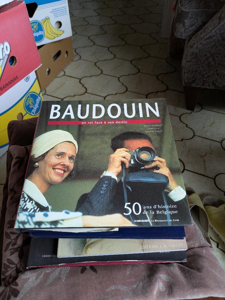Baudouin, Collections, Enlèvement ou Envoi, Comme neuf, Magazine ou livre
