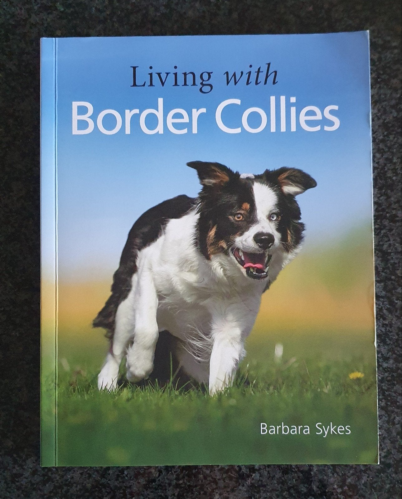 Living with Border Collies - Barbara Sykes (NIEUW), Neuf, Barbara Sykes, Enlèvement, Chiens