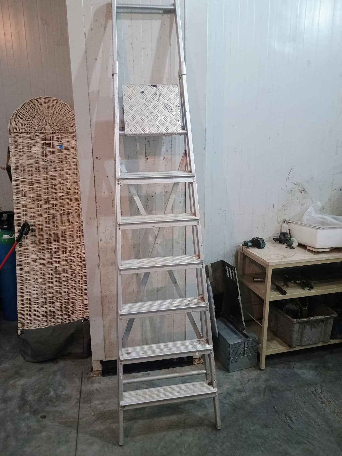 2 ÉCHELLE ALLUMINIUM DE QUALITÉ PROFESSIONNEL, Bricolage & Construction, Échelles & Escaliers, Enlèvement, Échelle