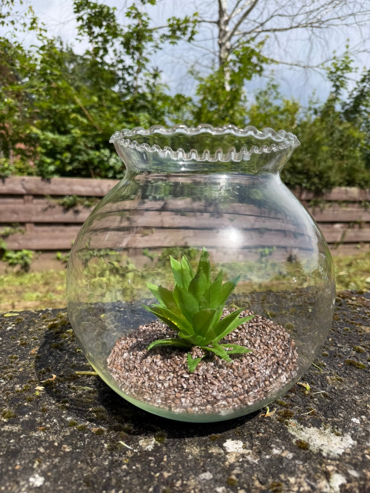 Vase en verre ou aquarium, Divers, Divers Autre, Enlèvement