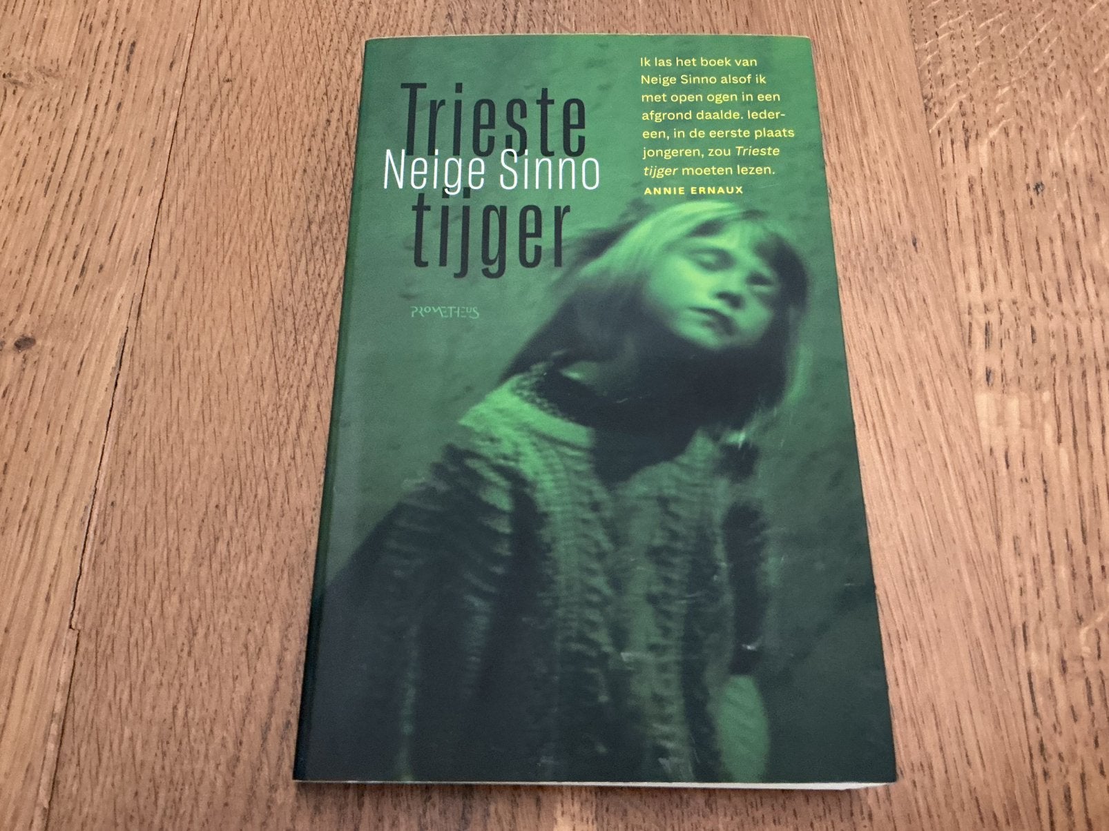 Neige Sinno - Trieste tijger - verzenden mogelijk, Enlèvement, Neige Sinno