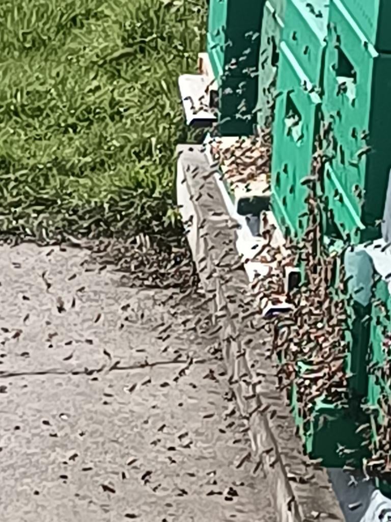 Bijenvolk, Divers, Divers Autre, Enlèvement