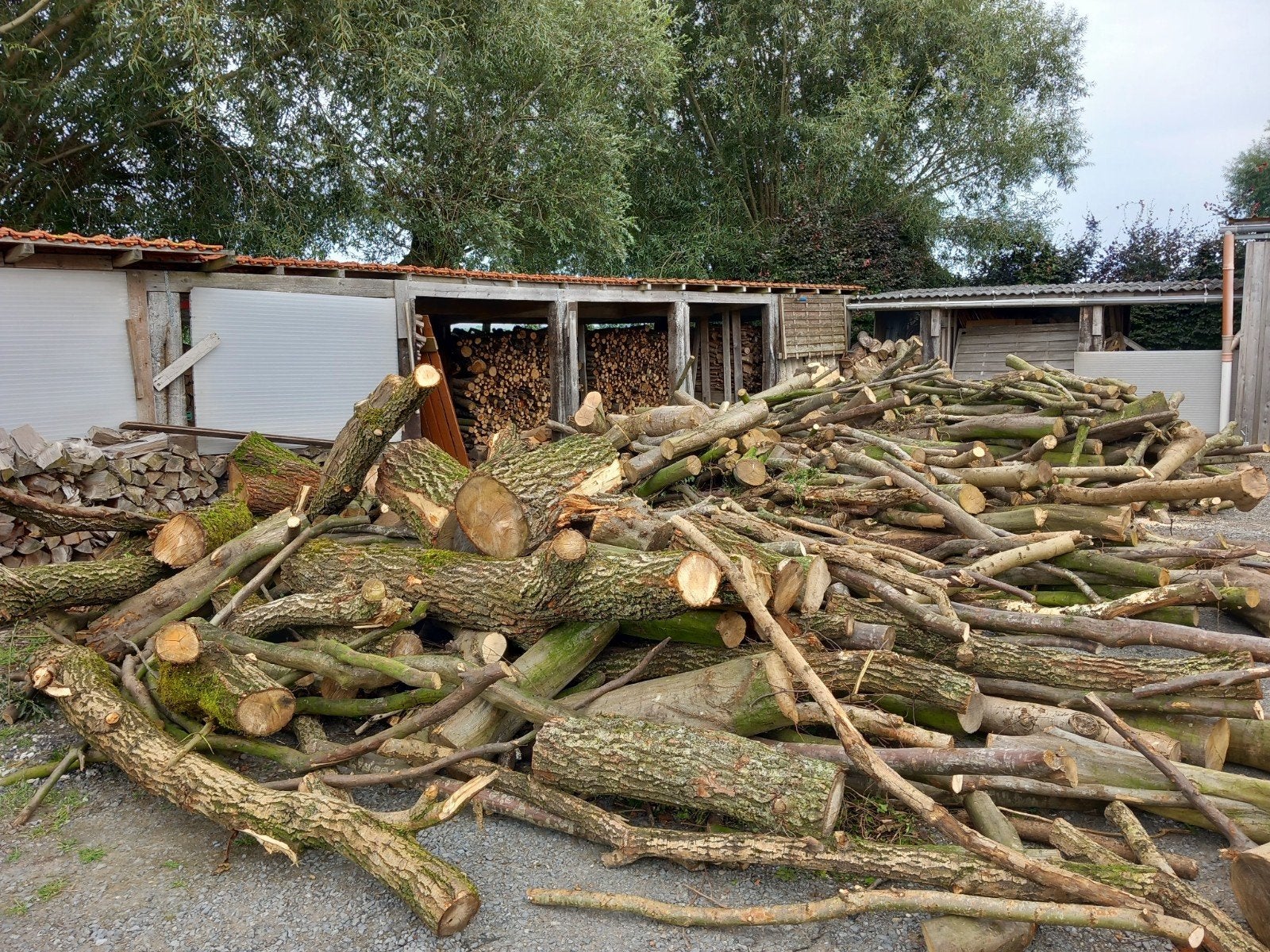 Bois sec à vendre, Tuin en Terras, Brandhout, Blokken, Overige houtsoorten, 6 m³ of meer, Ophalen of Verzenden
