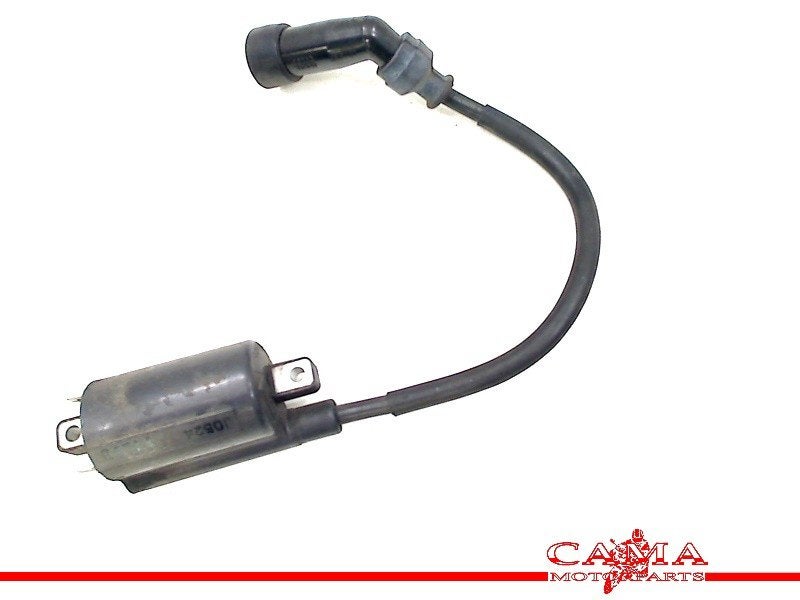 BOBINE D'ALLUMAGE VLR 1800 / C 1800 (VLR1800 C1800), Dhr. S. di Majo, Utilisé, Info@cama-motorparts.nl, P.J. Troelstraweg 8 8
3144 CX  MAASSLUIS, NL