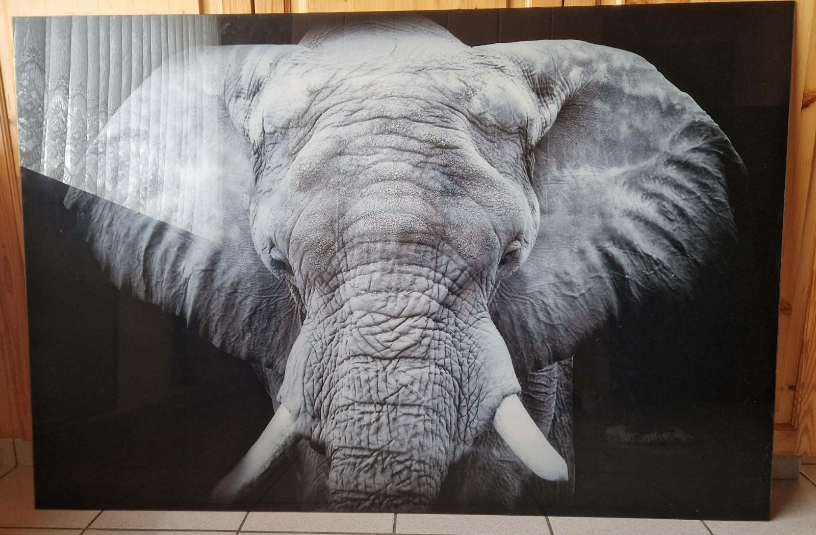 Prachtig XL Olifant Glasschilderij – Gehard Glas 100x150cm, Enlèvement, Peinture
