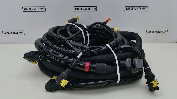 DAF Electrical System Hoofd chassiskabelboom, Ophalen, Gebruikt, DAF, Elektronica en Kabels
