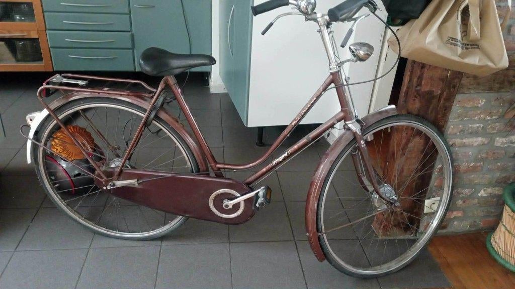 Vélo de ville Hollandais, Vélos & Vélomoteurs, Enlèvement, Utilisé, Autres marques