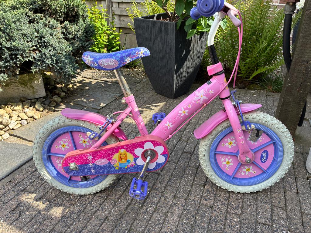 Kinderfiets, Ophalen, Gebruikt, Velgrem, Minder dan 16 inch