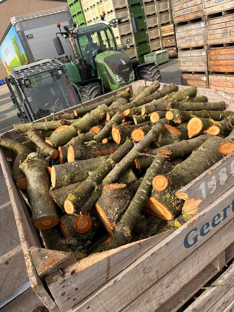 Hout, Tuin en Terras, Brandhout, Ophalen