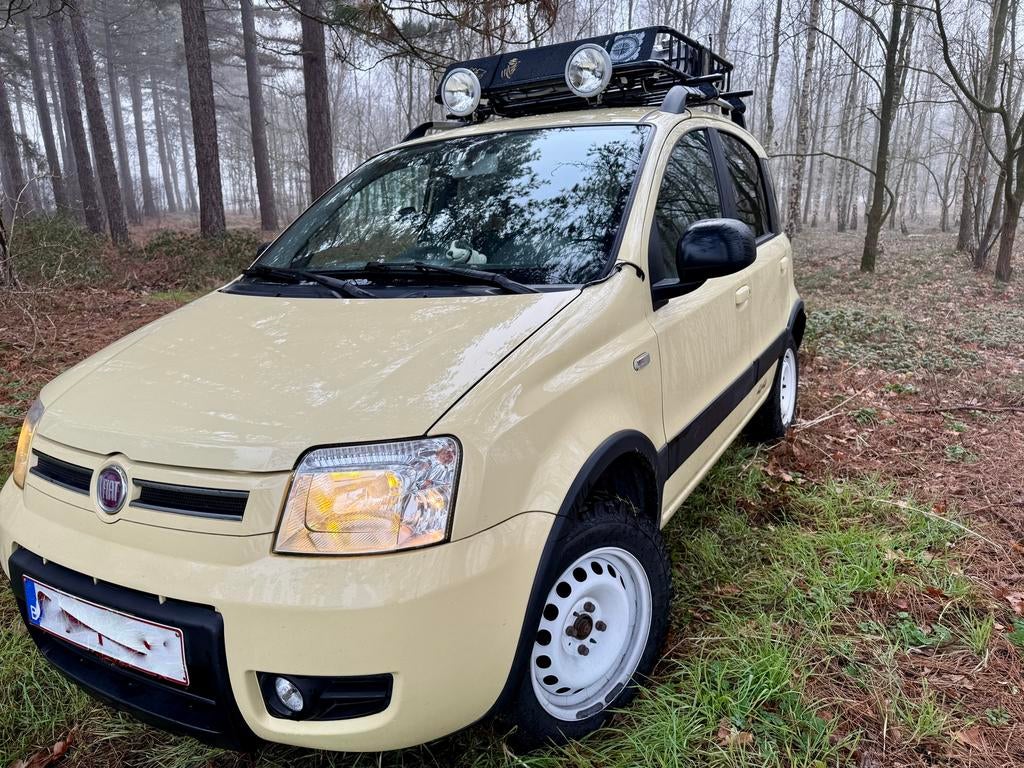Fiat Panda 4x4, Autos, Achat, Panda, 1055 kg, Bleu