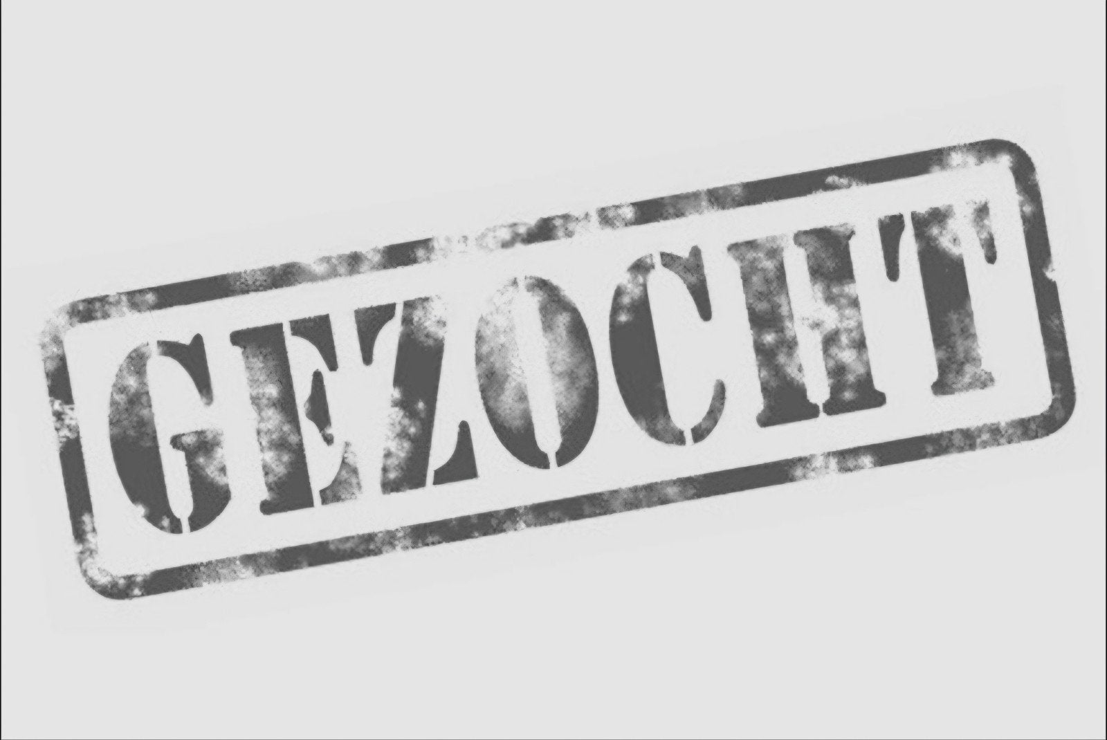 Paard gezocht, Dieren en Toebehoren, Paarden, Ruin, 7 tot 10 jaar