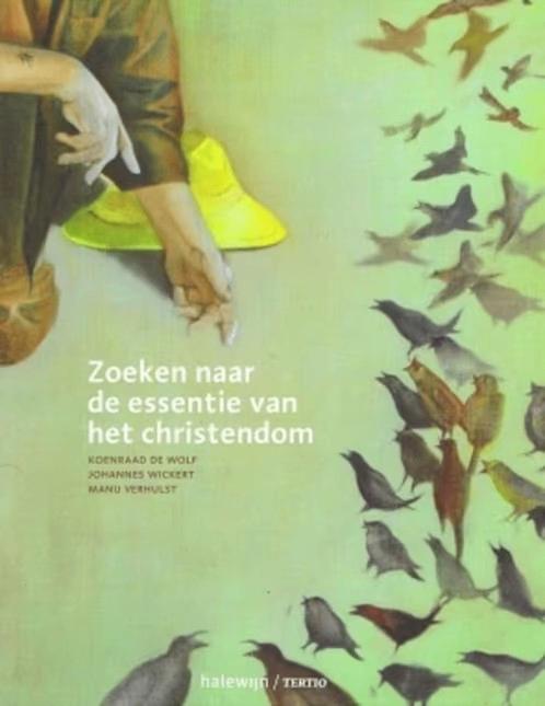 Zoeken naar de essentie van het Christendom, Boeken, Ophalen of Verzenden, Zo goed als nieuw, Christendom | Katholiek