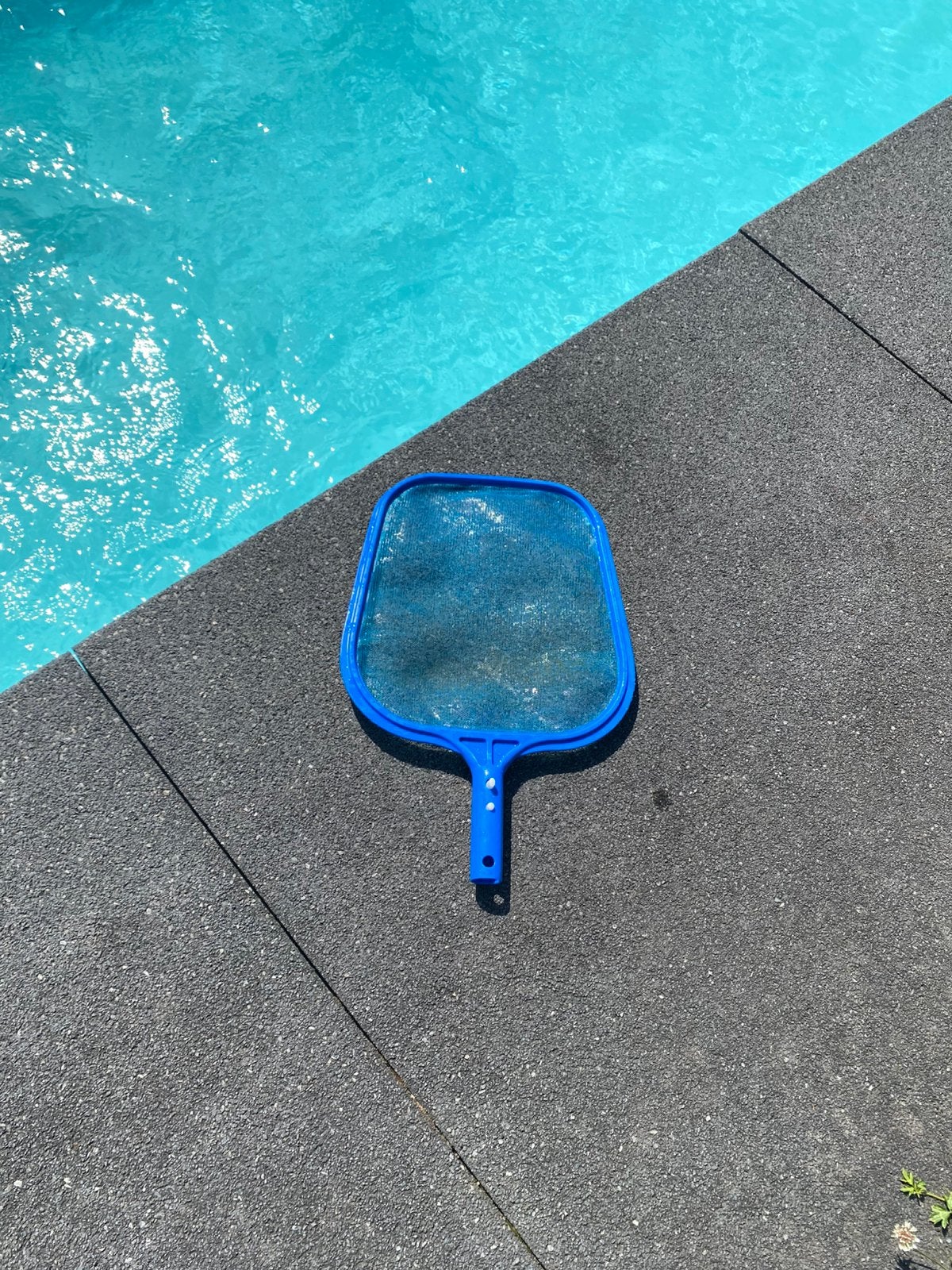 Épuisette pour piscine, Enlèvement, Comme neuf