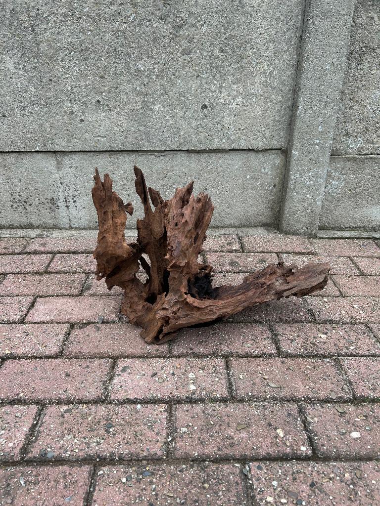 Kienhout, Dieren en Toebehoren, Ophalen, Gebruikt, Plant(en), Steen of Hout