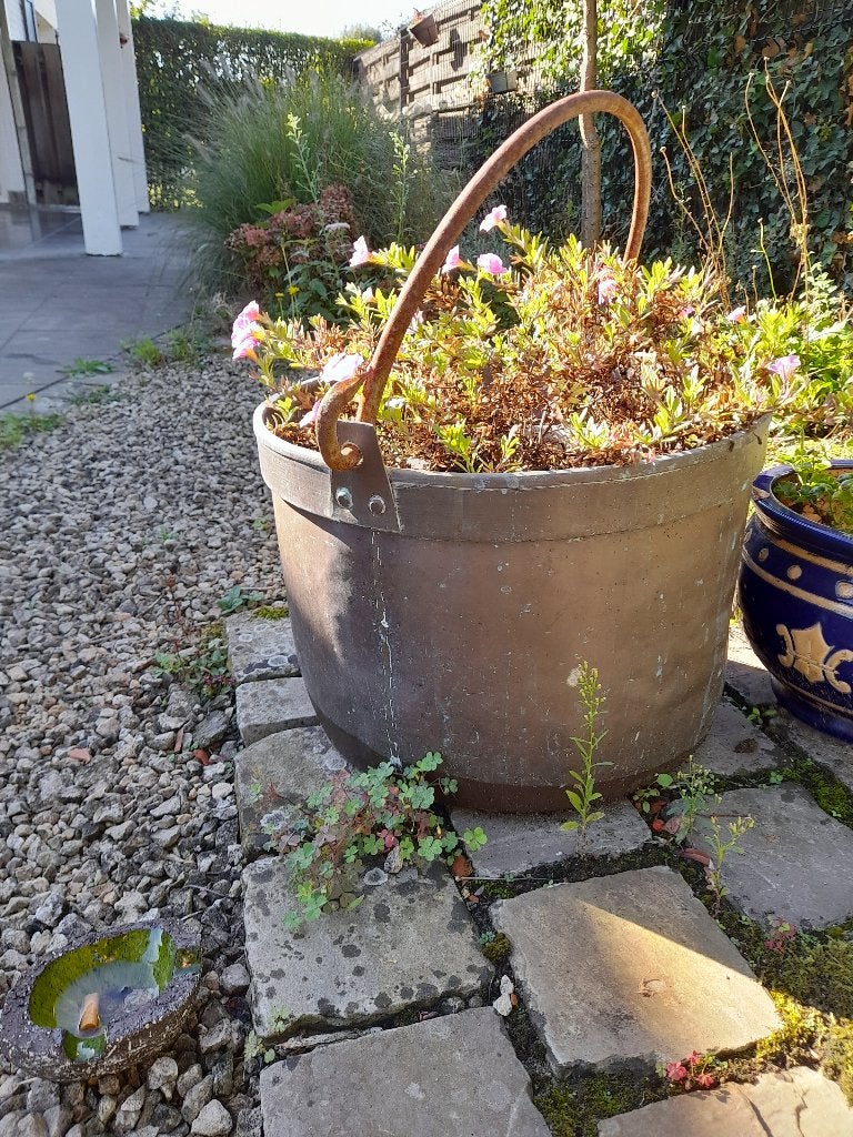 Pots de fleurs et porte-plantes, Enlèvement, Jardin