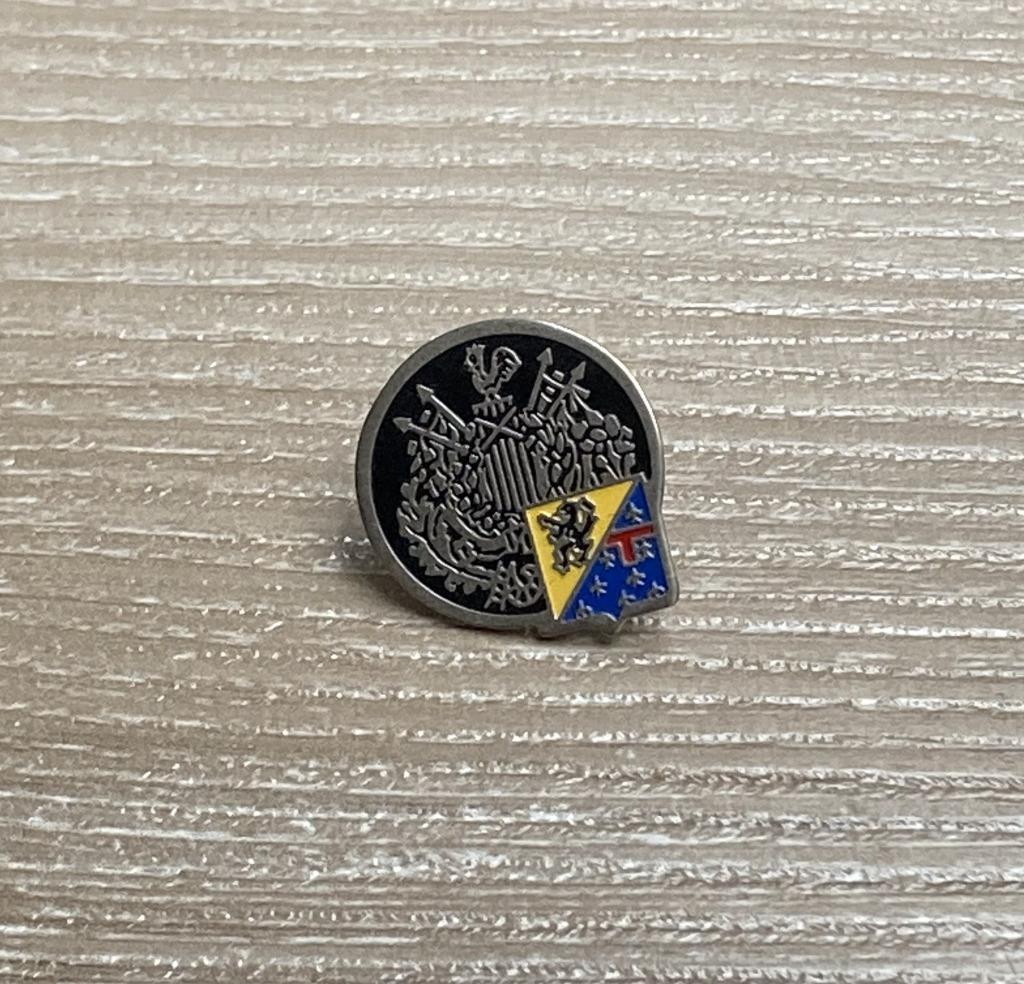 PIN - LOGO - EMBLEEM - VLAANDEREN - VLAAMSE LEEUW, Verzenden, Gebruikt, Stad of Land, Speldje of Pin