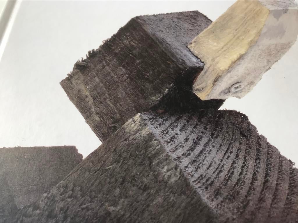 Koen Vanmechelen Artistbook 50pag, Ophalen of Verzenden, Zo goed als nieuw, Beeldhouwkunst