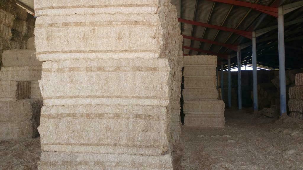 gehakseld spaans stro, Zakelijke goederen, Landbouw | Veevoer, Ophalen of Verzenden
