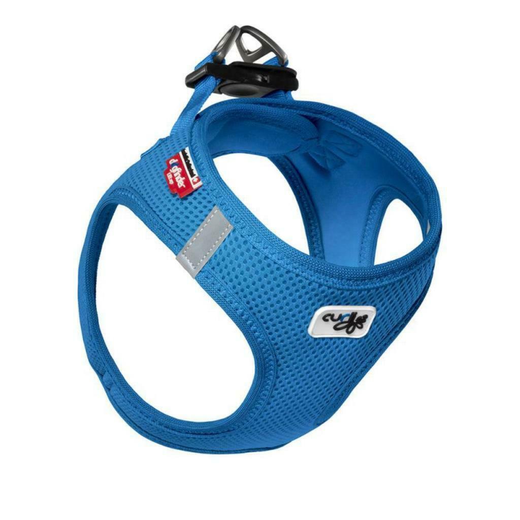 harnais chien curli taille XS ou S, Animaux & Accessoires, Accessoires pour chiens, Neuf, Enlèvement ou Envoi