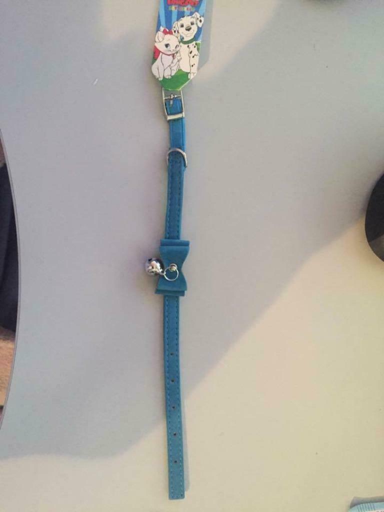 Collier chat, petit chien turquoise 28, cm, Animaux & Accessoires, Enlèvement ou Envoi, Neuf