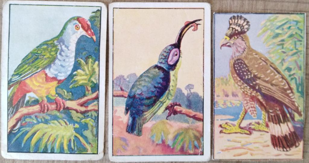 3 oude verzamelprentjes van vogels (Confiserie De Bie), Ophalen of Verzenden, Gebruikt, Dier, Prent
