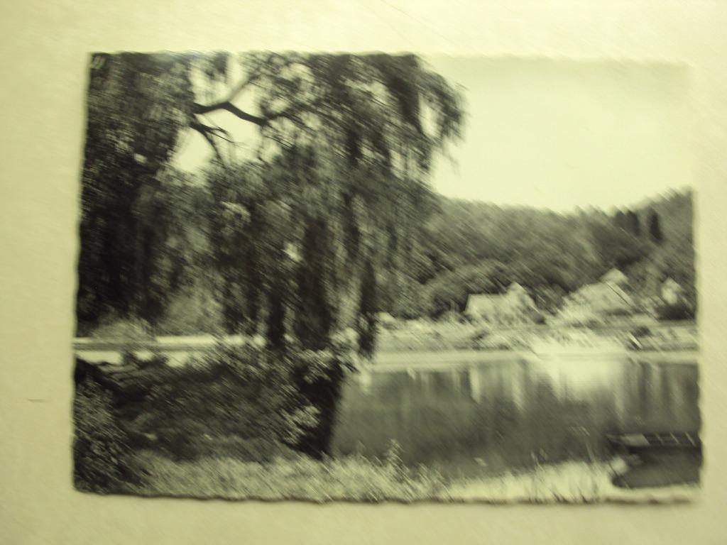 48382 - ANSEREMME - LA MEUSE - MONIAT, Collections, Envoi